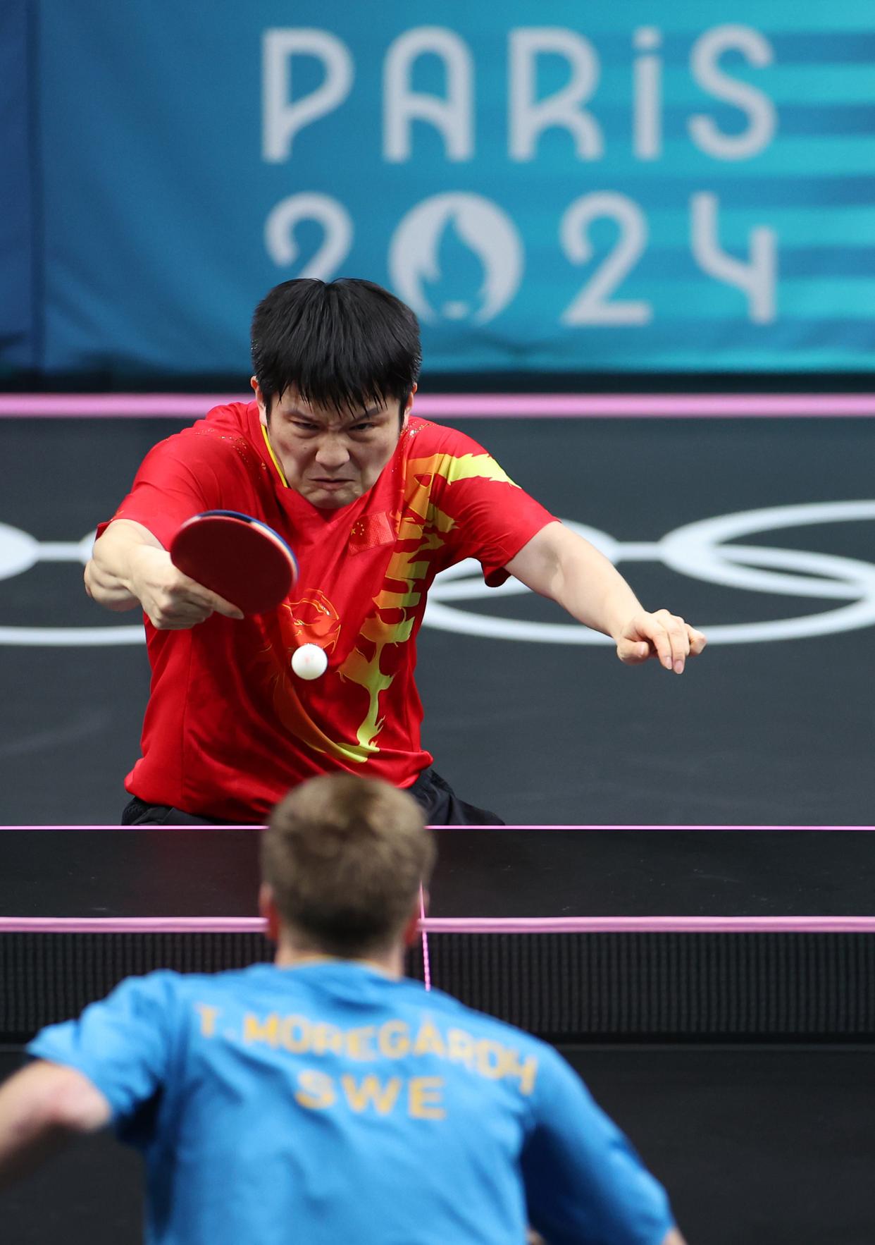 中国乒乓球队鏖战德国乒乓球队，波尔高光表现的简单介绍