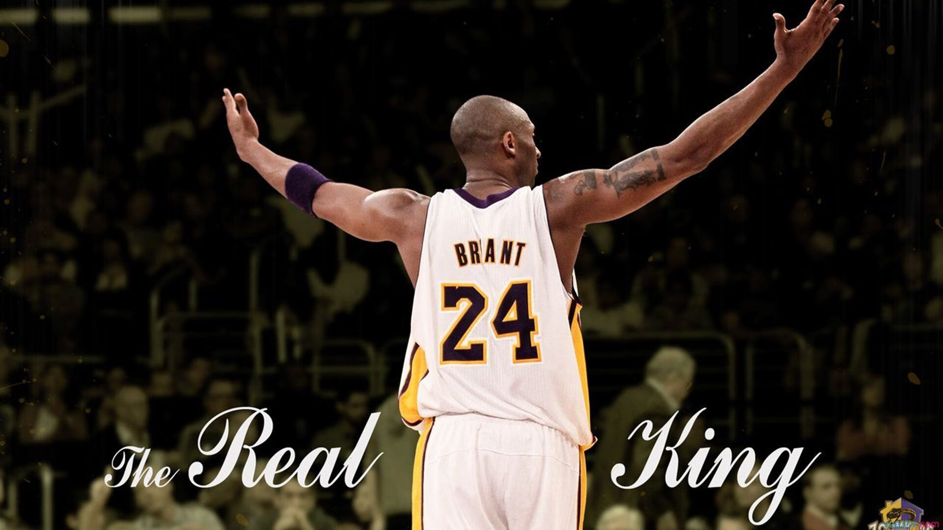 德甲争冠战之夜，恩佐压力下完成爆发